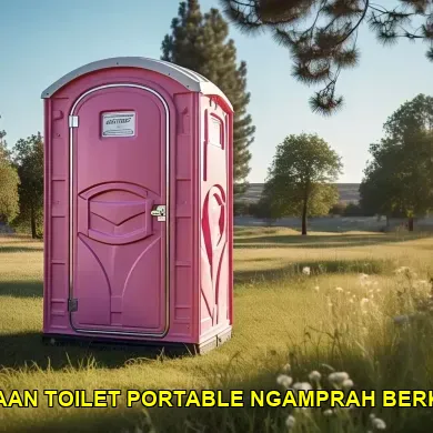 penyewaan toilet portable ngamprah berkualitas
